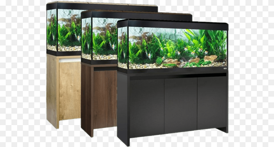 Aquarium Fish Tank Transparent Hd Photo Fluval Roma, Animal, Sea Life, Water Free Png Download