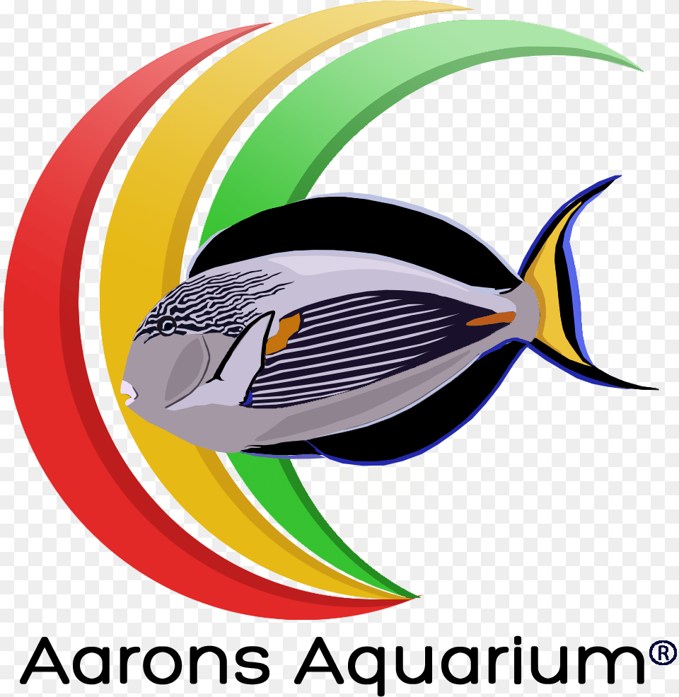 Aquarium Graphic Design, Animal, Fish, Sea Life, Surgeonfish Png