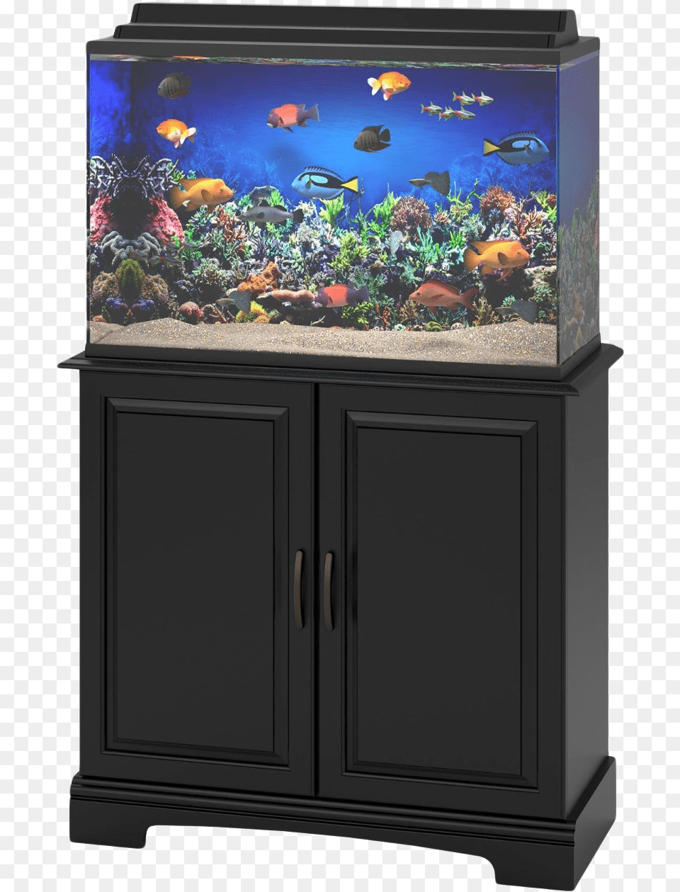 Aquarium Life Transparent Background Fish Aquarium Tank, Animal, Sea Life, Water Free Png Download