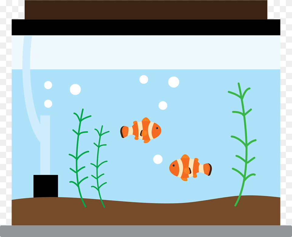 Aquarium Ocellaris Clownfish Clipart, Animal, Sea Life, Plant, Water Png Image