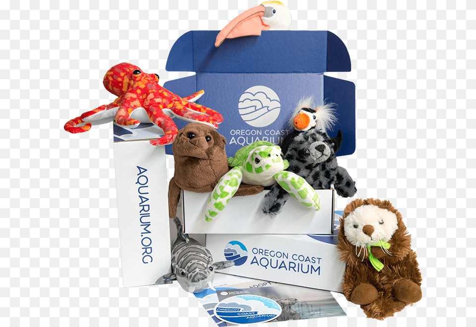 Aquarium Of The Pacific Toys, Plush, Toy, Animal, Dinosaur Png