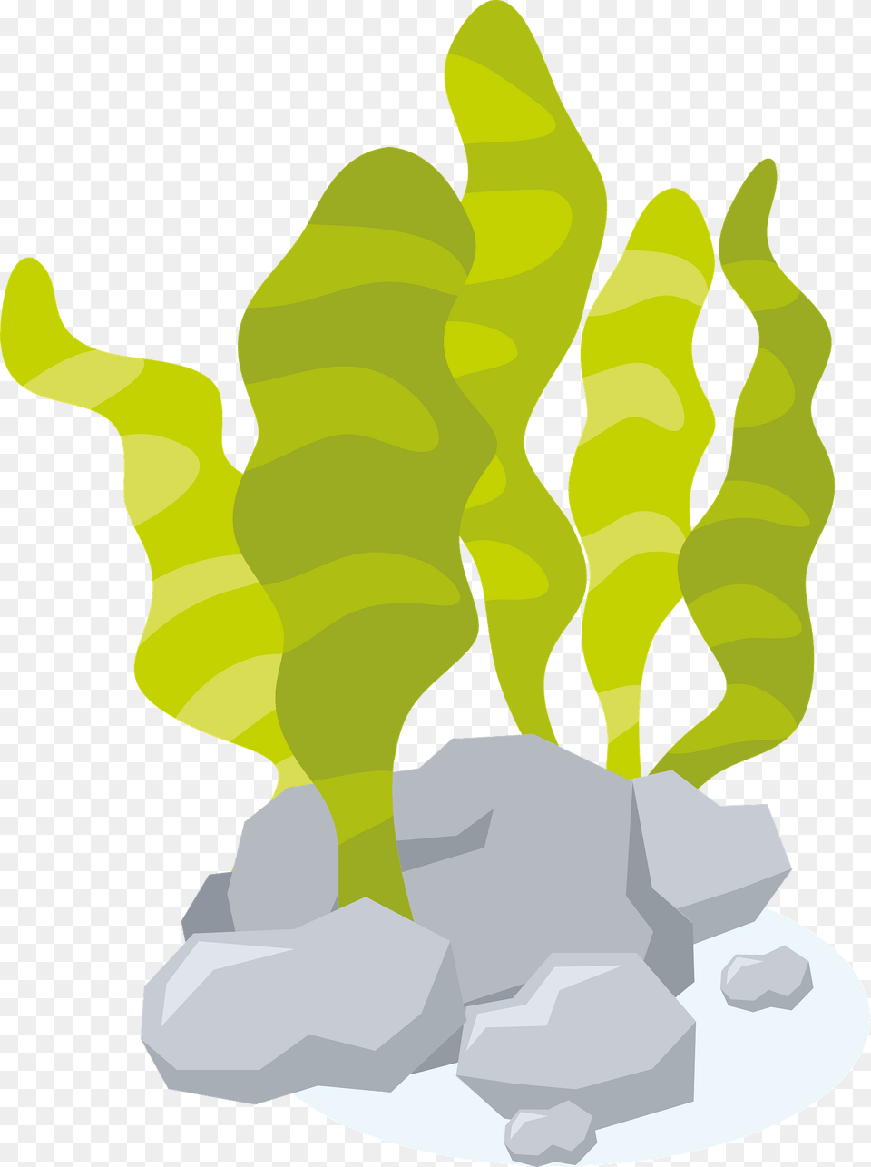 Aquarium Plant Clipart, Seaweed, Animal, Sea Life Png Image