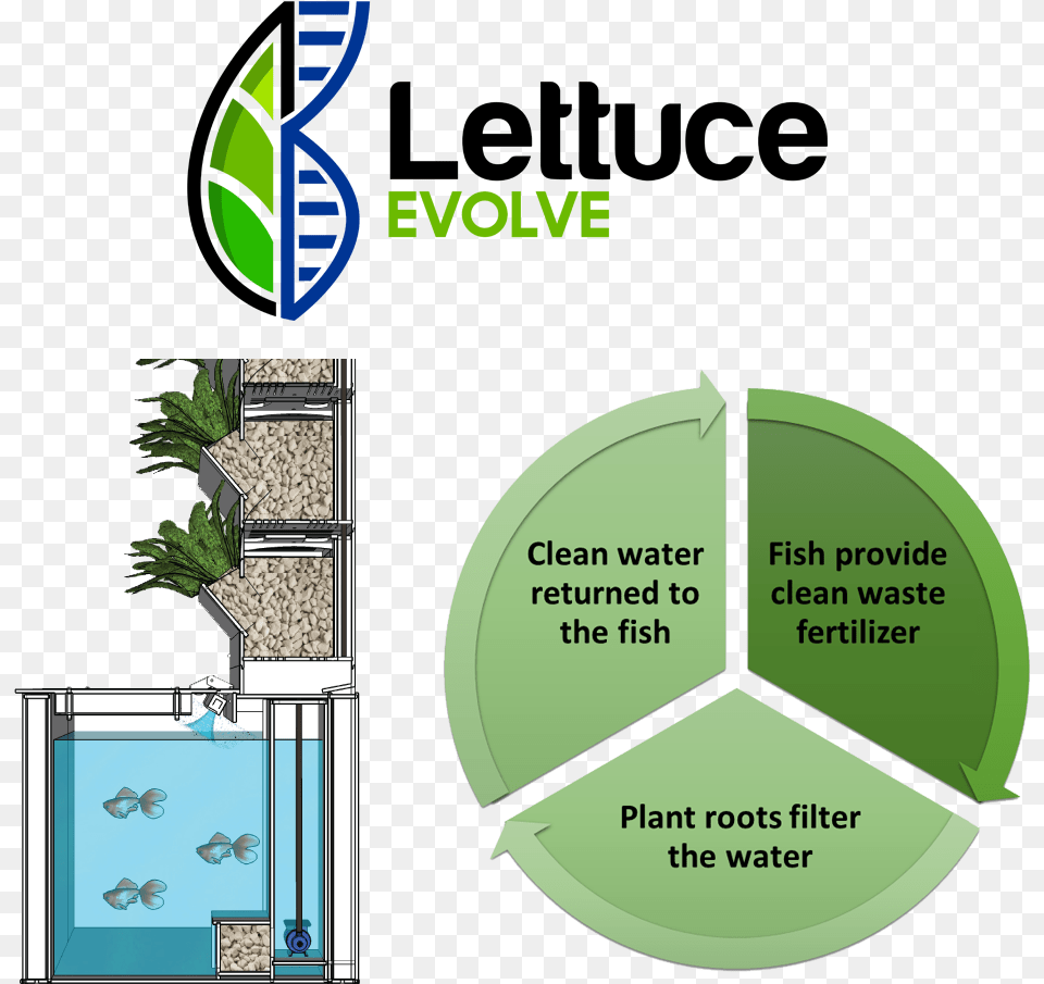 Aquarium Powered Vertical Garden Vertical Garden With Fish, Plant, Potted Plant Free Transparent Png