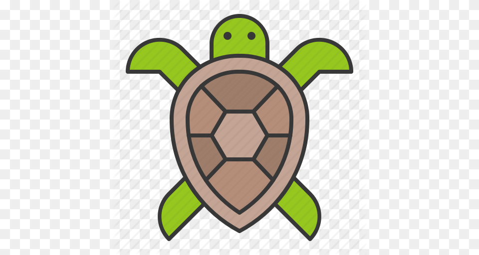 Aquatic Animal Ocean Sea Turtle Icon, Armor, Shield, Dynamite, Weapon Free Transparent Png