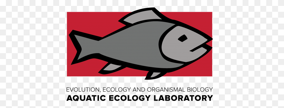 Aquatic Ecology Laboratory, Animal, Fish, Sea Life, Tuna Png