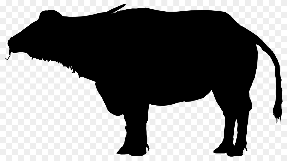 Aquatic Water Buffalo Silhouette, Gray Free Transparent Png