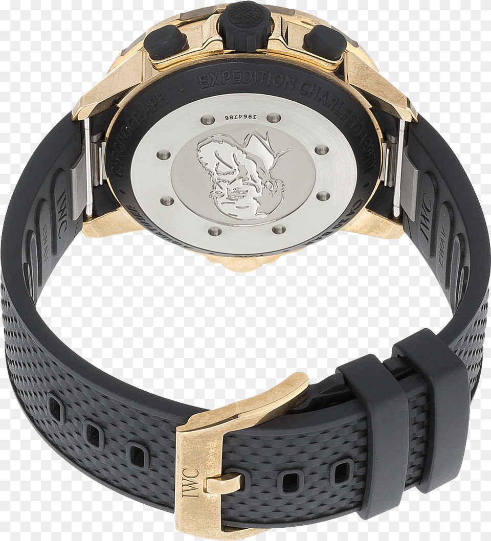 Aquatimer Chronograph Expedition Charles Darwin Bronze Analog Watch, Wristwatch, Accessories, Arm, Body Part Free Png Download