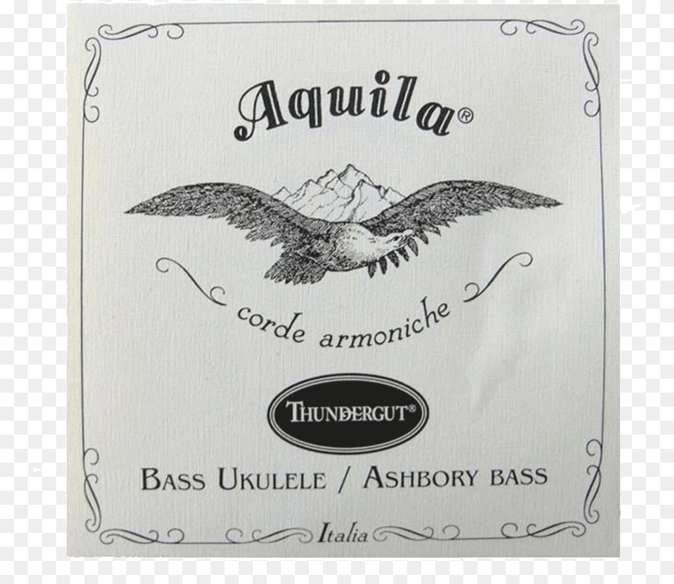 Aquila Ag Tg 4 Thundergut 4 String Bass Strings, Animal, Bird, Vulture Free Transparent Png
