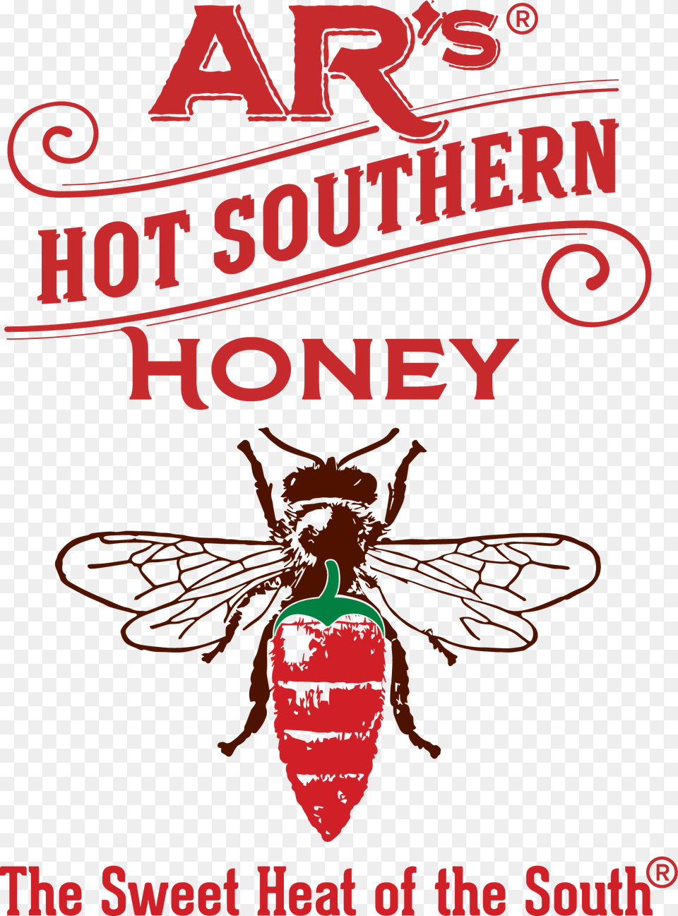 Ar Southern Honey, Animal, Bee, Insect, Invertebrate Free Png
