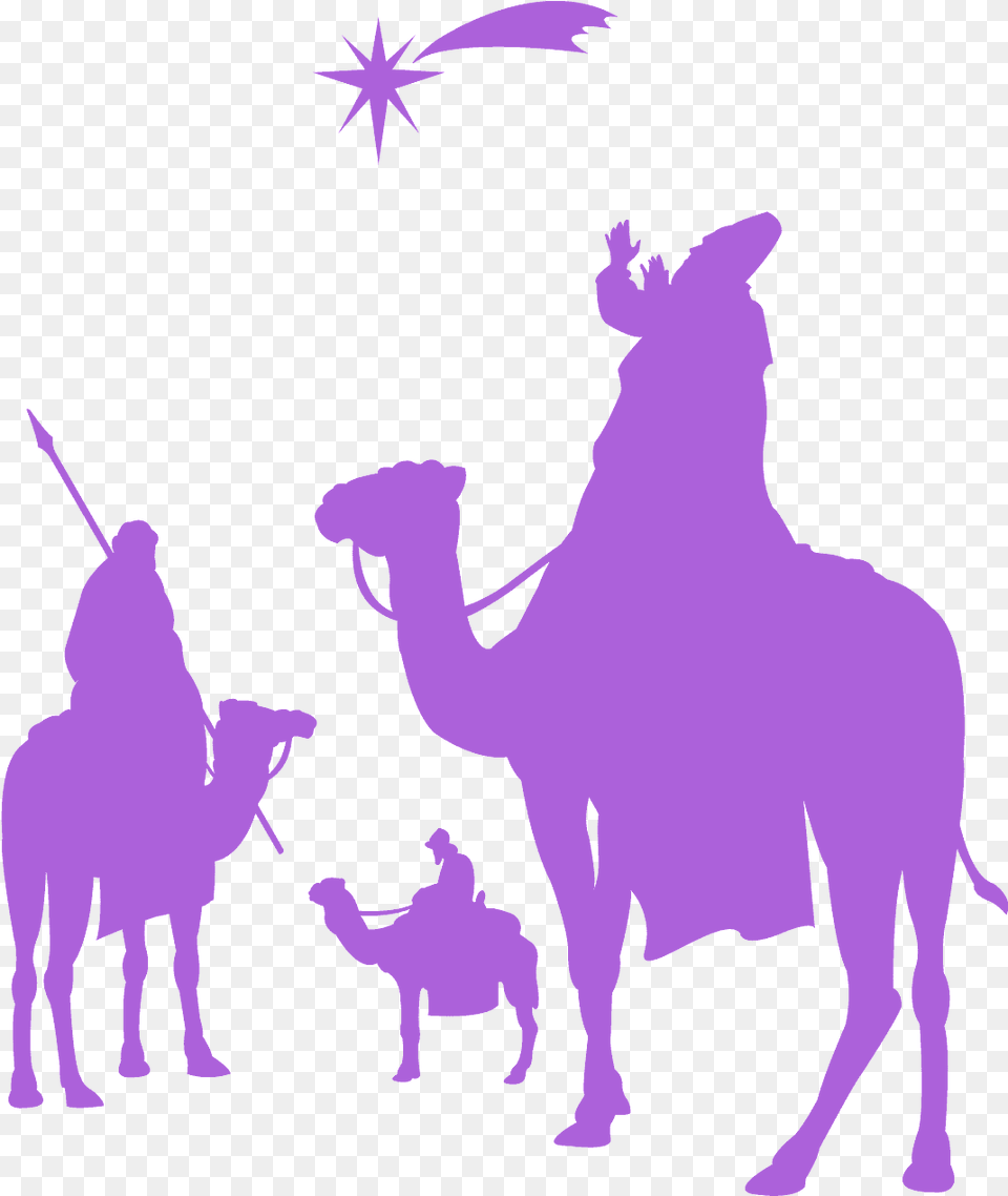 Arabian Camel, Person, People, Animal, Mammal Png