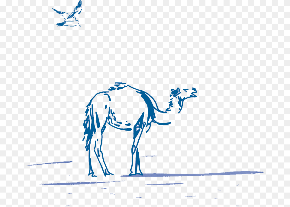 Arabian Camel, Animal, Elephant, Mammal, Wildlife Png Image