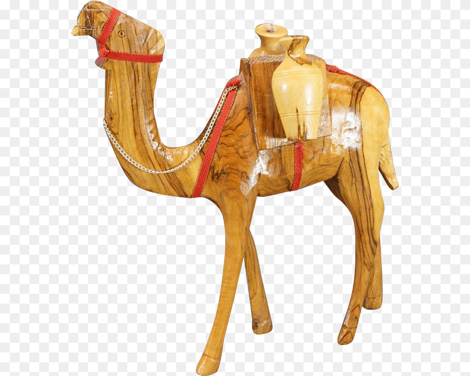 Arabian Camel, Animal, Mammal, Horse Free Png