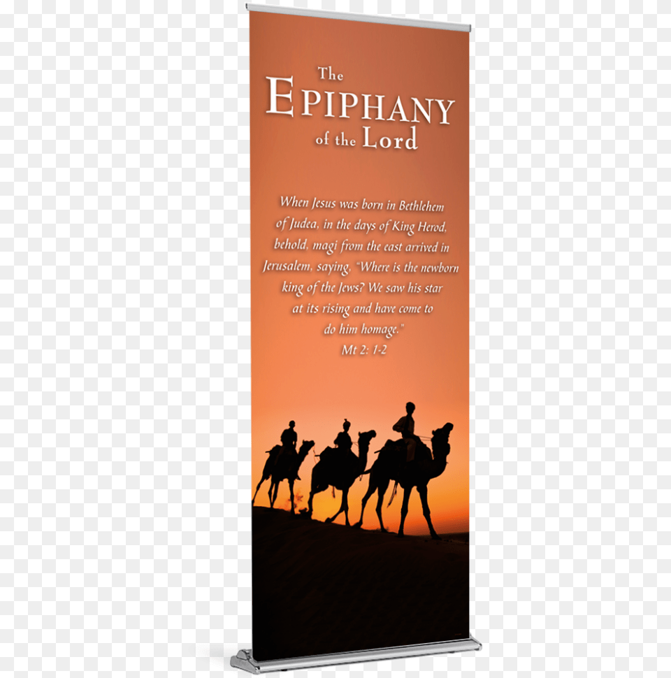 Arabian Camel, Advertisement, Publication, Book, Poster Png Image