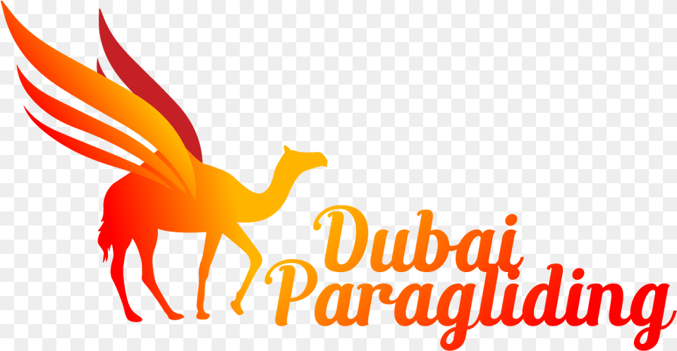 Arabian Camel Free Png Download