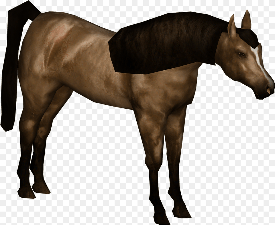Arabian Horse 01 Sorrel, Animal, Colt Horse, Mammal, Stallion Free Png