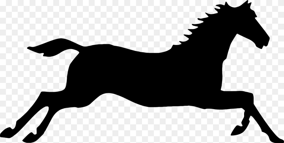 Arabian Horse Gallop Friesian Horse Black Forest Horse Galloping Horse Silhouette, Gray Png Image