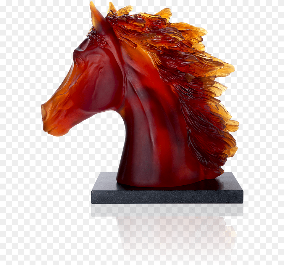 Arabian Horse Head Stallion, Animal, Bird, Chicken, Fowl Free Png Download