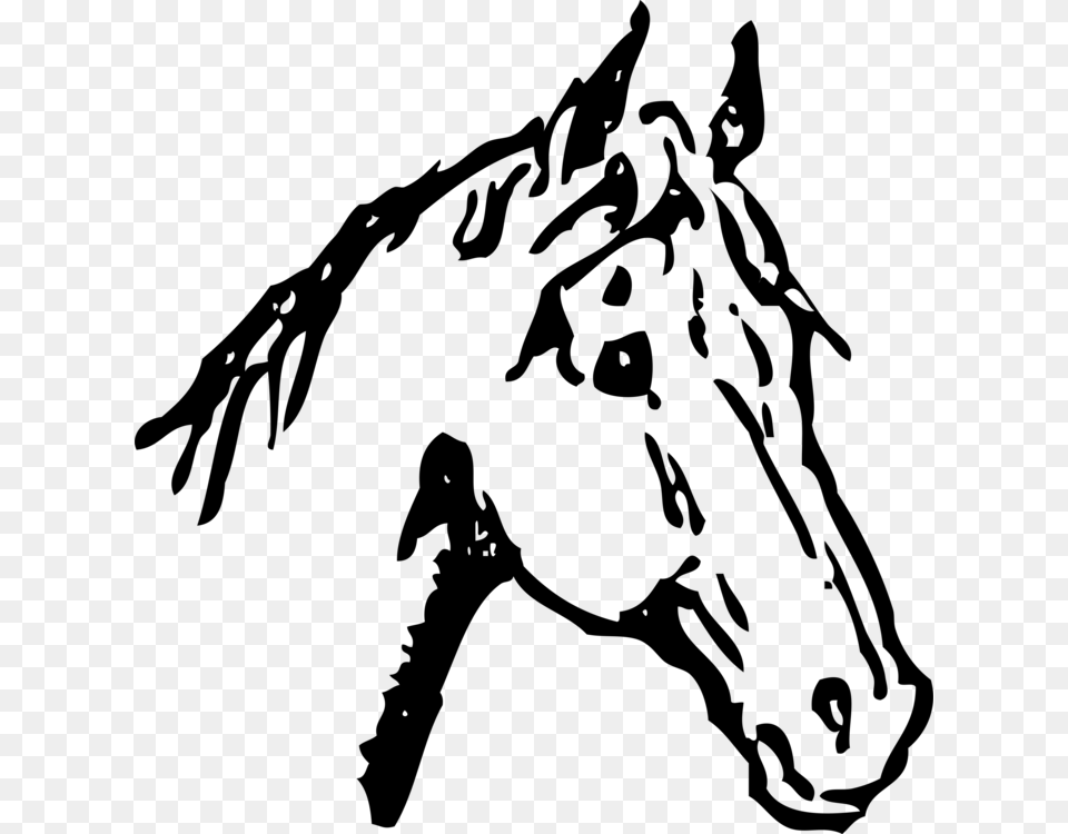 Arabian Horse Horse Head Mask Pony Drawing Line Art, Gray Free Transparent Png