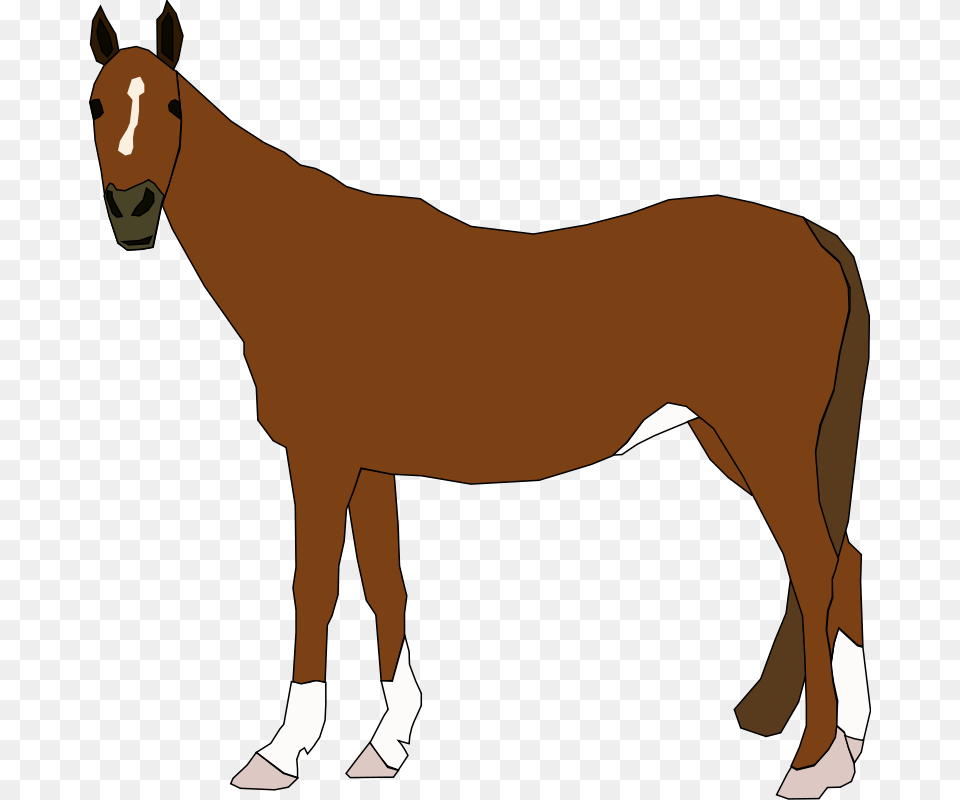 Arabian Horse Pony Equestrianism Clip Art Horse Clipart, Adult, Female, Person, Woman Free Png