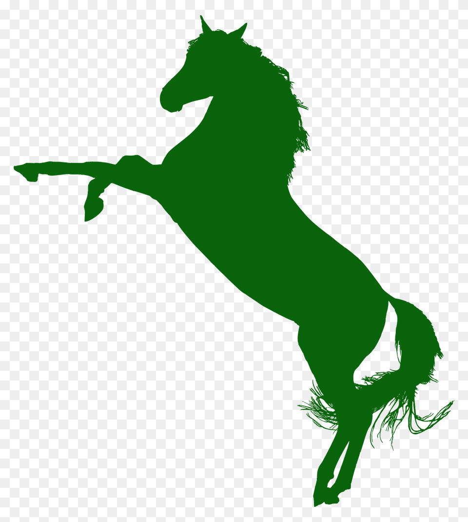 Arabian Horse Silhouette, Animal, Mammal, Colt Horse Png