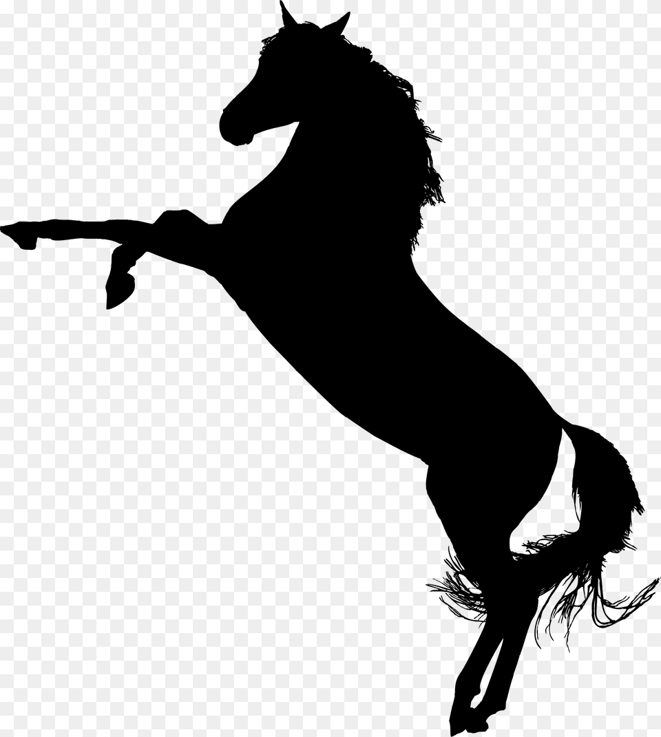 Arabian Horse Silhouette Horse On Hind Legs Silhouette, Gray Png Image