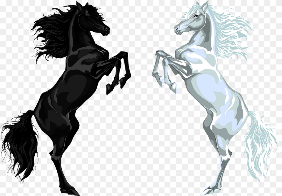 Arabian Horse Stallion Euclidean Vector Illustration Black Horse Animal, Mammal, Adult, Colt Horse Free Png Download
