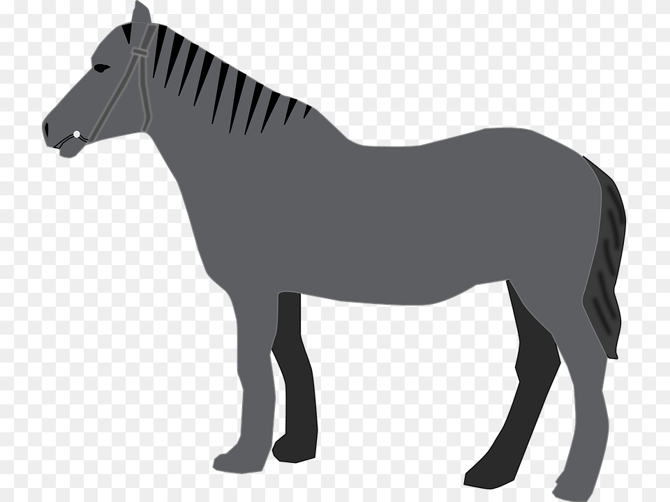 Arabian Horse Standing Silhouette, Animal, Mammal, Colt Horse, Fish Png Image