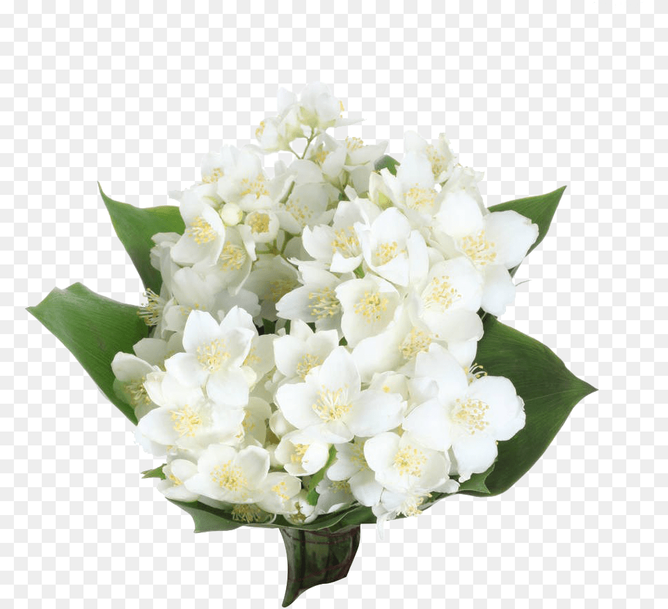 Arabian Photography Clip Art Transparent Background White Flower, Flower Arrangement, Flower Bouquet, Plant, Petal Free Png Download