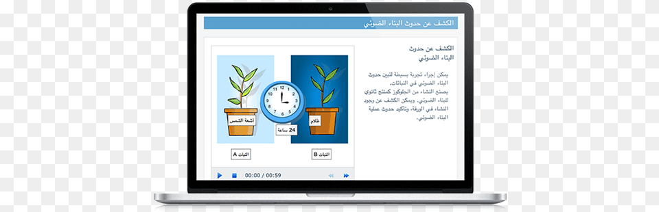 Arabic V2 Genealogy, Computer, Electronics, Pc, Laptop Png