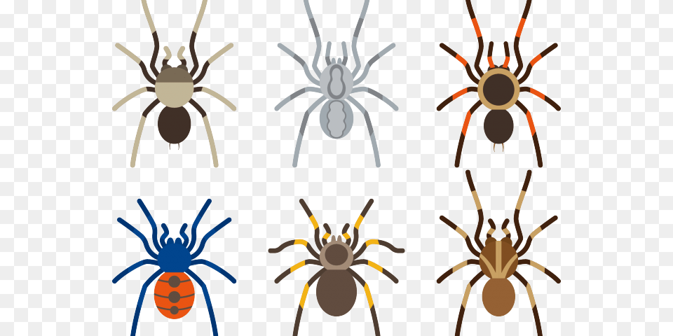 Arachnid Clipart Tarantula Spider, Animal, Invertebrate, Food, Lobster Free Png Download