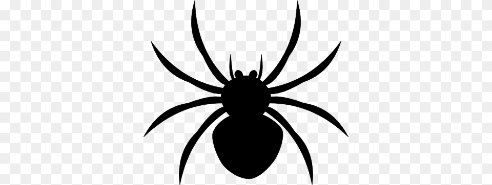 Arachnophobia Overcoming Your Fear Of Spiders Clip Art, Stencil, Animal, Invertebrate, Spider Free Transparent Png