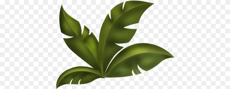 Arana Kits Scrap Jungle Tree Leaf Clipart, Plant, Green, Animal, Fish Free Png Download