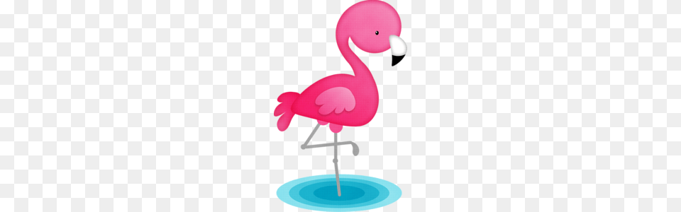 Arana Na Iandeks Fotkakh Certain Days, Animal, Bird, Flamingo Free Png