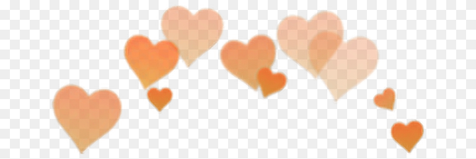 Arancione Orange Heart Overlay Edit Heart In Head Filter, Flower, Leaf, Petal, Plant Free Png Download