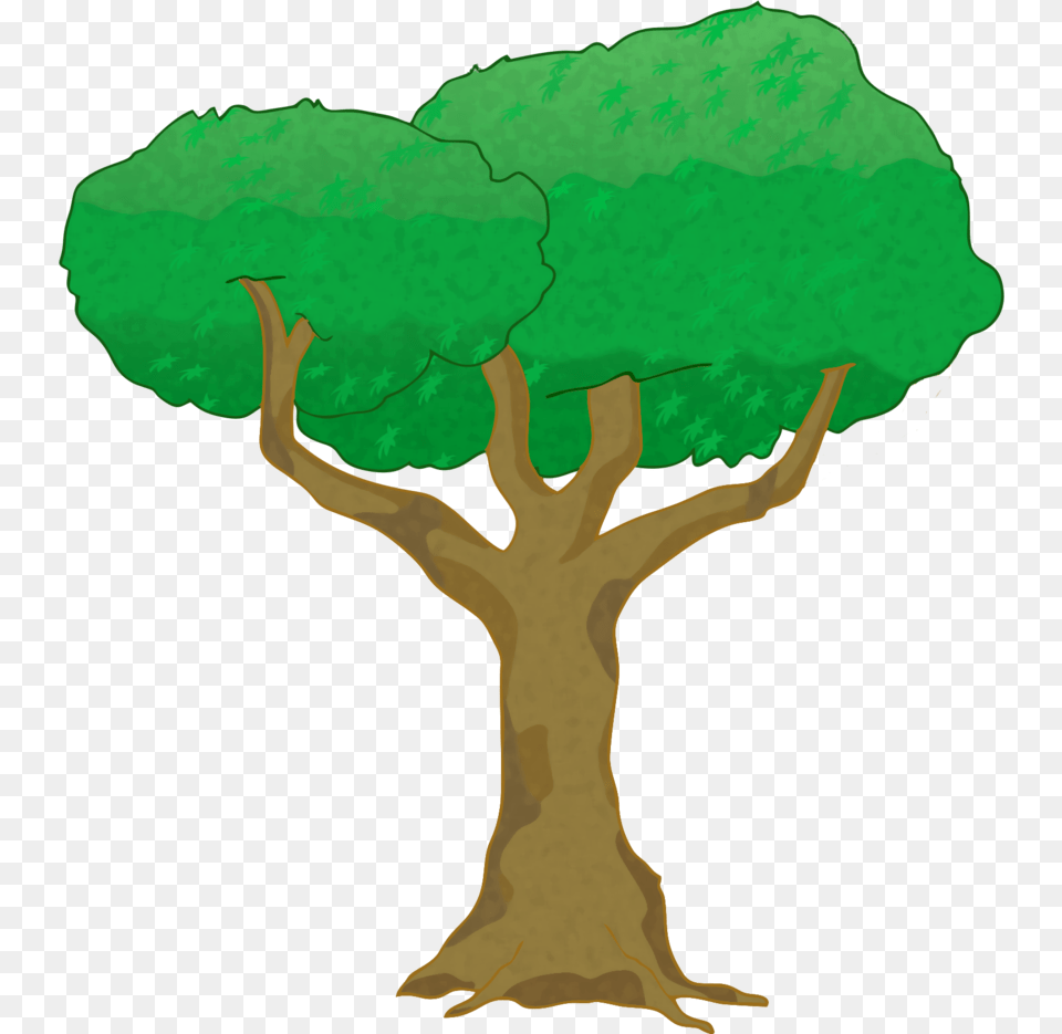 Arbol, Tree, Plant, Cross, Symbol Png