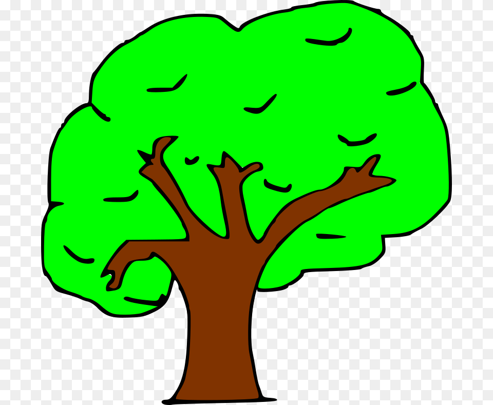 Arbol, Plant, Tree, Baby, Person Png