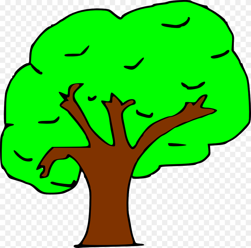 Arbol Arbol Clipart, Plant, Tree, Baby, Person Png