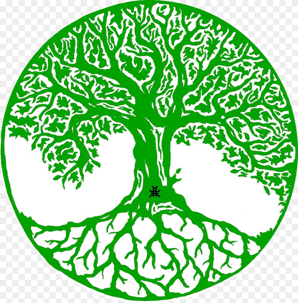 Arbol De La Vida Mandala, Plant, Tree, Vegetation, Ct Scan Free Png Download