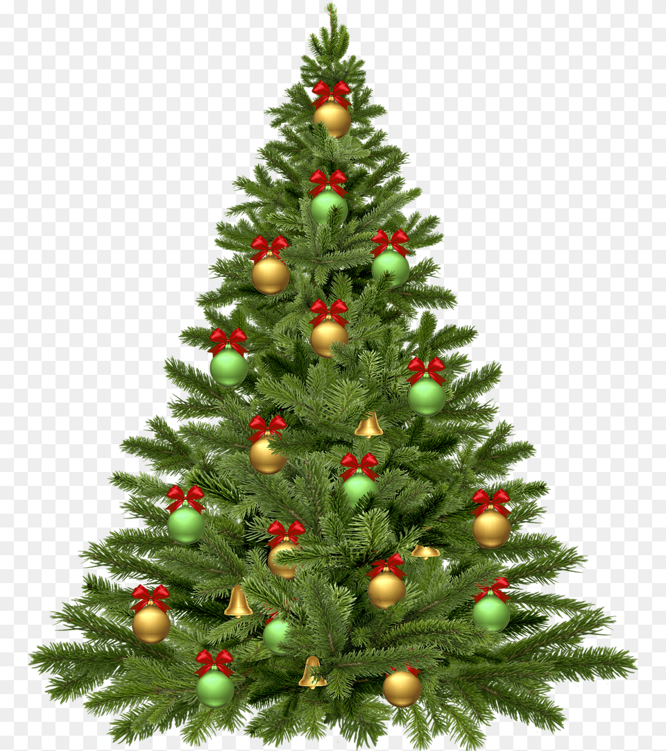 Arbol De Navidad Christmas Tree, Plant, Christmas Decorations, Festival, Christmas Tree Free Png Download