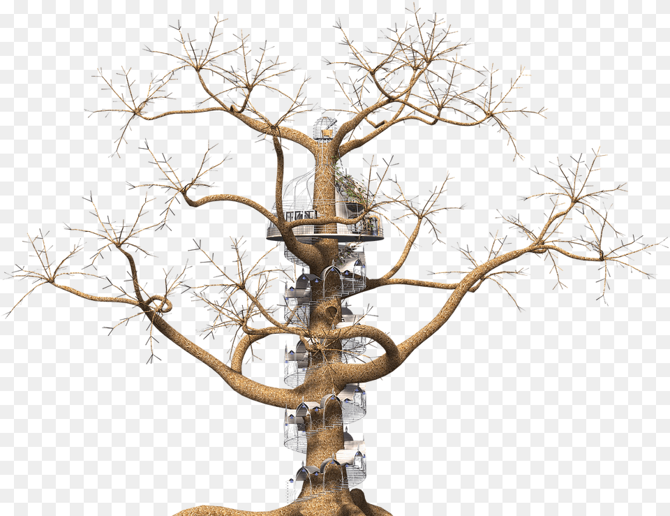 Arbol Fantasia, Plant, Tree, Wood, Tree Trunk Png