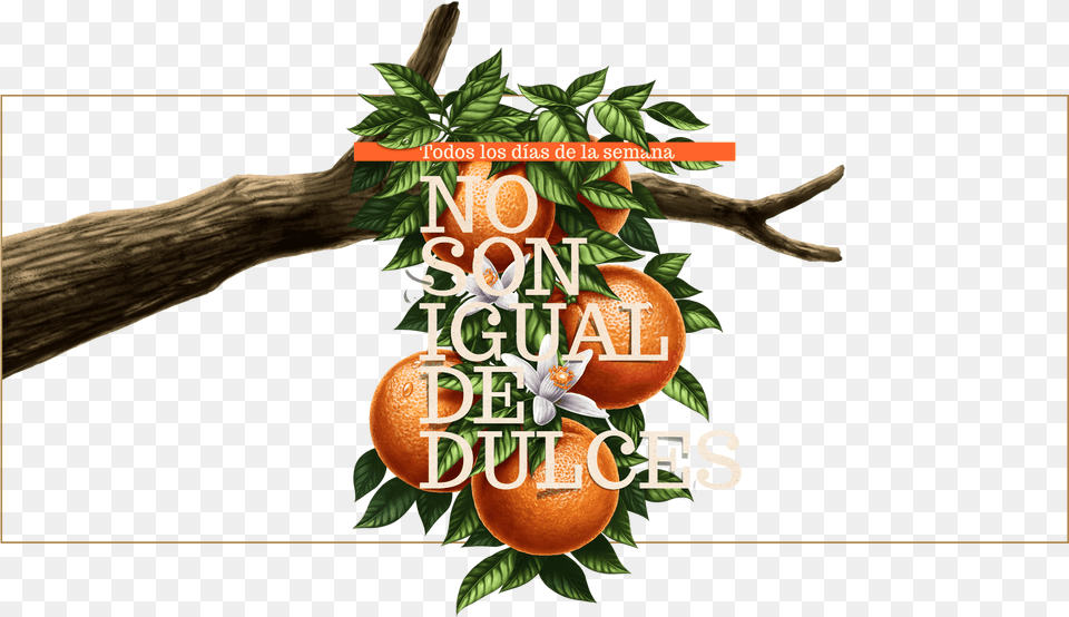 Arbol Naranjas Tunez Seedless Fruit, Food, Plant, Produce, Advertisement Free Png