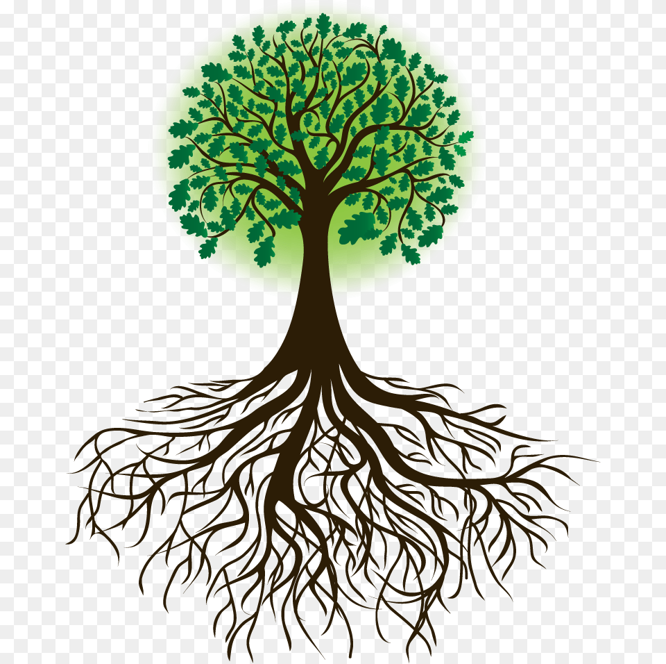 Arbol Raices Borges Transparent Tree Of Life, Plant, Root Png Image