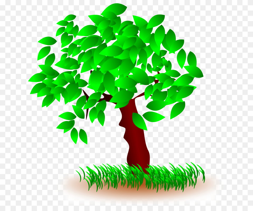 Arbol Tree, Green, Plant, Potted Plant, Bonsai Free Transparent Png