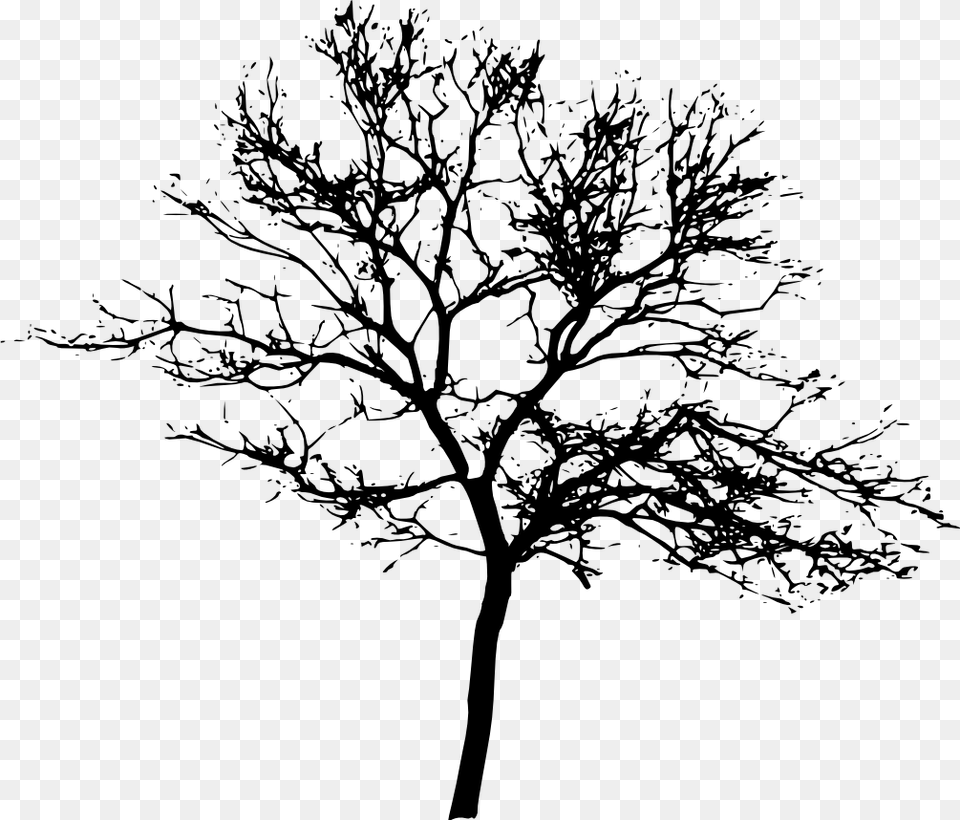 Arbol Tree Shadow Sombra Tree Silhouette, Gray Png Image