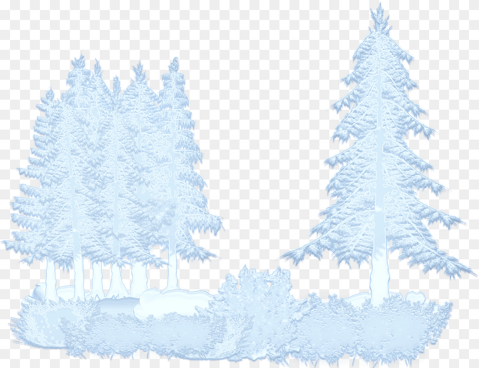 Arboles Con Nieve, Fir, Plant, Tree, Pine Png Image