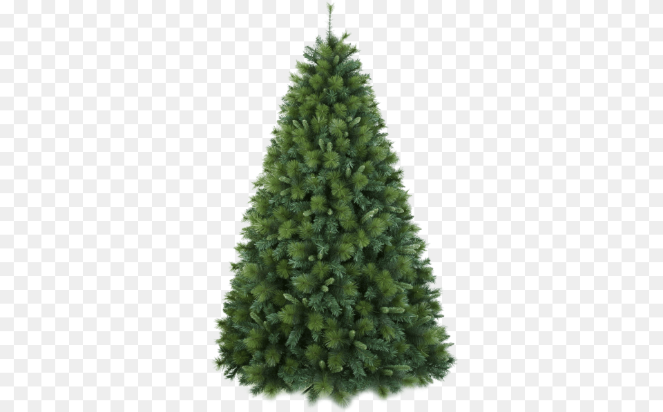 Arboles Navidad Png08 Christmas Tree Lite Up, Fir, Pine, Plant, Christmas Decorations Png Image
