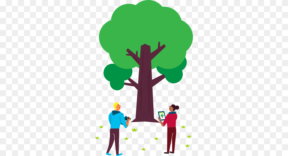 Arbor Day, Adult, Reading, Person, Man Free Transparent Png