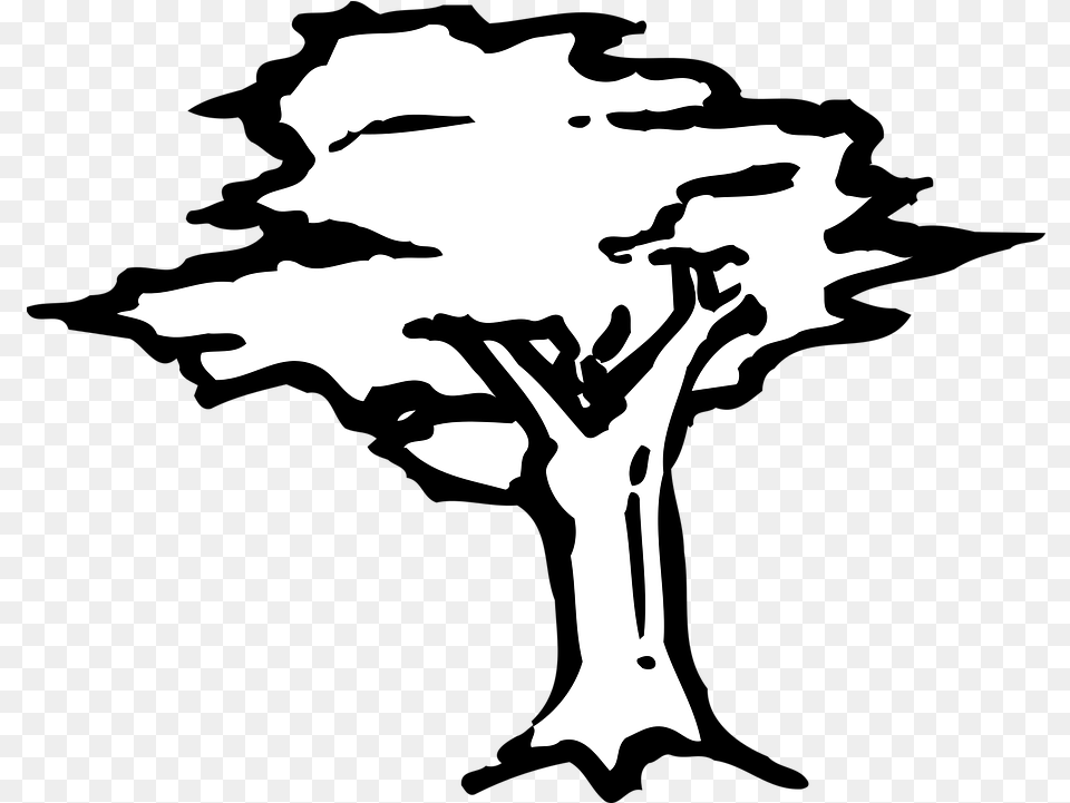 Arbor Drawing Icon Swamp Stencil Tree, Silhouette, Person, Face, Head Free Png