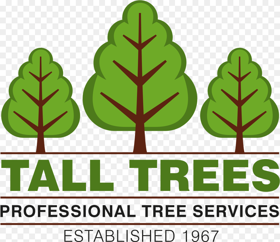 Arborist In Stockport Tall Trees Professional Tree Manyas Bird Paradise National Park, Green, Plant, Vegetation, Leaf Free Transparent Png