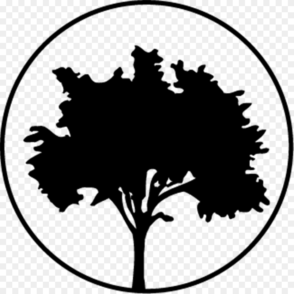 Arbormoon Icon Silhouette, Gray Free Transparent Png